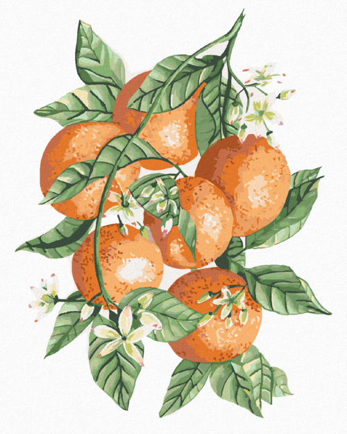 Paint by Numbers - ORANGES ON A BRANCH (ALEXANDRIA GILBERT)