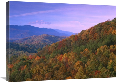 Global Gallery GCS-397143-2432-142 24 x 32 in. Appalachian Mountains A