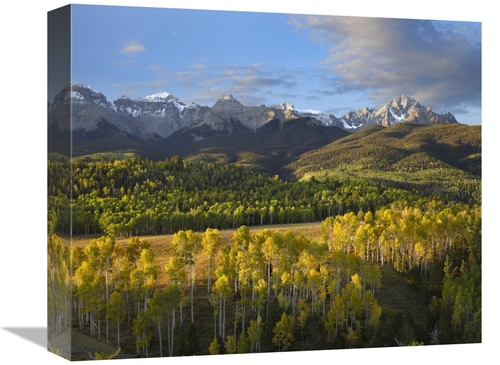 Global Gallery GCS-396775-16-142 16 in. Quaking Aspen Forest & Mount S