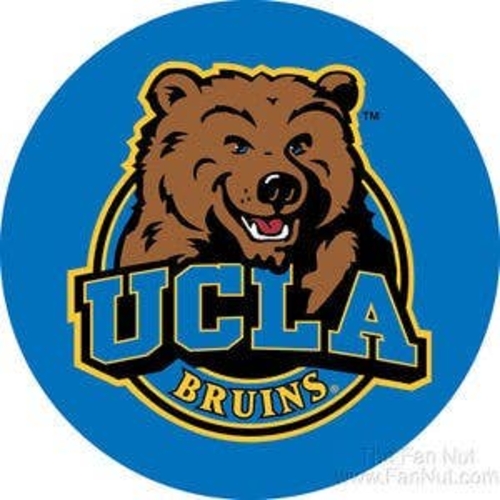 3 Inch Cloth Patch Ucla Briuns