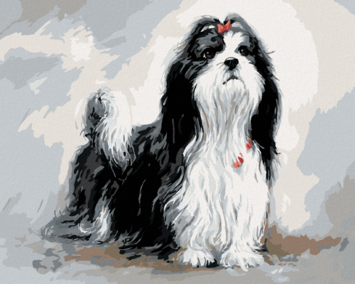 Zuty - Paint by Numbers â€“ SHIH-TZU WITH A RED BOW (JIM KILLEN),