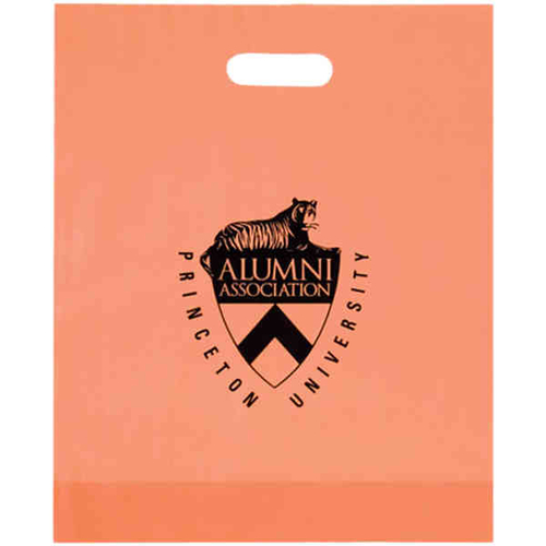 AAB 19FD15184 15 in. x 18 in. Frosted Die Cut Bag - Pack of 250