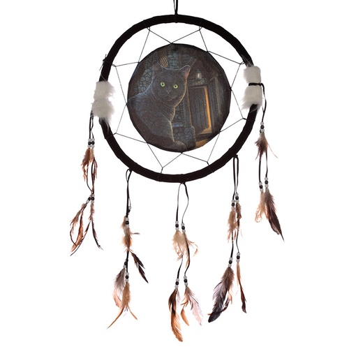 Decorative Cat Design What Lies Within 33cm Dreamcatcher