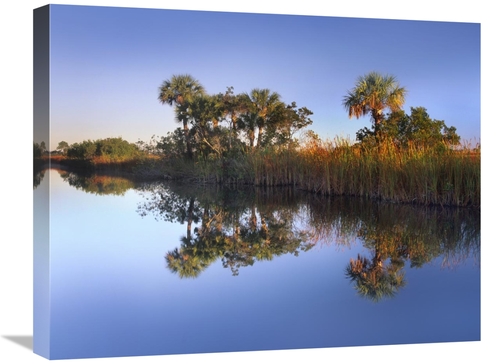 Global Gallery GCS-396869-2024-142 20 x 24 in. Royal Palms & Reeds Alo