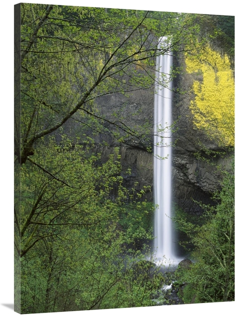 Global Gallery GCS-396512-3040-142 30 x 40 in. Latourell Falls, Co
