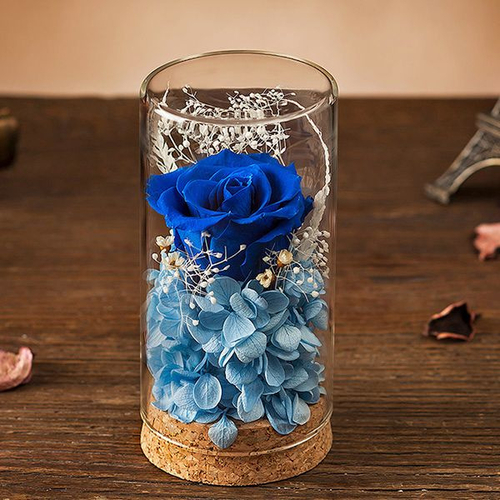 Preserved Rose Glass