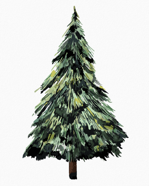 Paint by Numbers - CONIFEROUS TREE (ALEXANDRIA GILBERT)