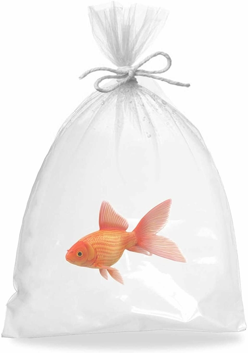 Aquarium Plastic Fish Bags 6" x 12", Clear Polyethylene Bags Pack of
