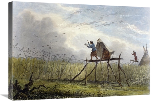 Global Gallery GCS-277461-30-142 30 in. Guarding the Corn Fields Art P