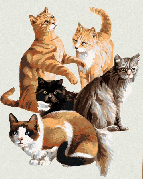 Zuty - Paint by Numbers – CATS (JIM KILLEN), 40x50 cm