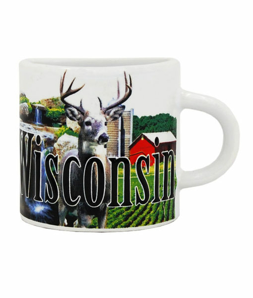 Americaware MGWIS01 Wisconsin Mug Magnet