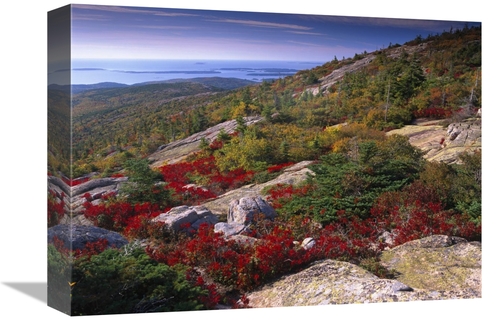 Global Gallery GCS-396692-1216-142 12 x 16 in. Atlantic Coast From Cad