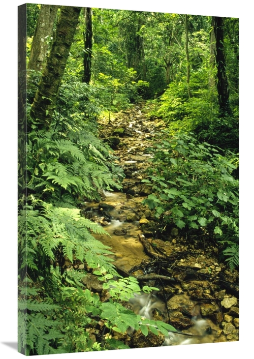 Global Gallery GCS-452780-2436-142 24 x 36 in. Gombe Stream Flowing Th