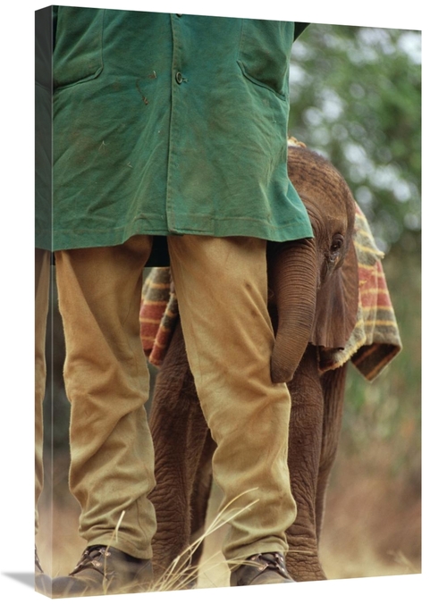 Global Gallery GCS-452953-2030-142 20 x 30 in. Orphan Baby Lablon Hidi