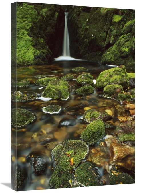 Global Gallery GCS-453505-2030-142 20 x 30 in. Mossy Stream Near Loch 