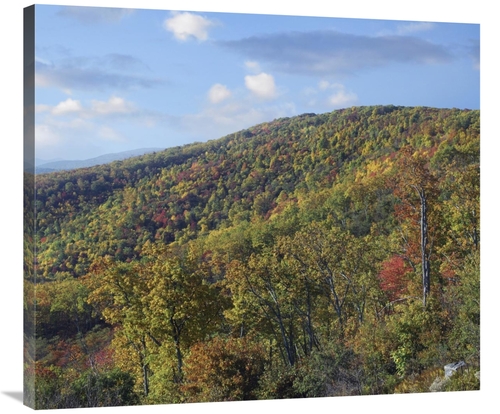 Global Gallery GCS-397004-36-142 36 in. Blue Ridge Range From Moormans