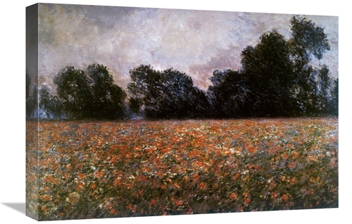 Global Gallery GCS-278656-22-142 22 in. Field of Wild Poppies Art Prin