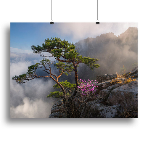 Dream Dancer Canvas Print or Poster