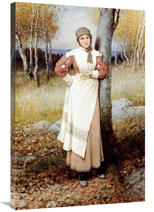 Global Gallery GCS-267763-36-142 36 in. A Rose in New England Art Prin