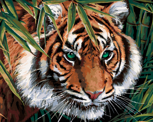 Zuty - Paint by Numbers - TIGER IN LEAVES (IMAGE WORLD), 40x50 cm