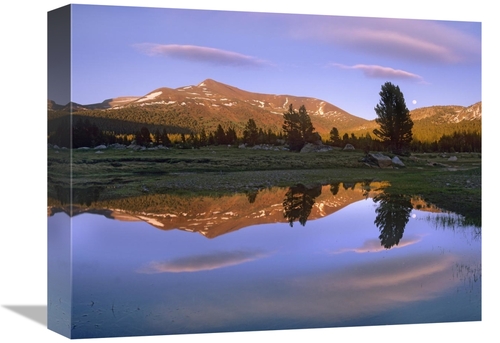 Global Gallery GCS-396656-1216-142 12 x 16 in. Mount Dana Reflected in