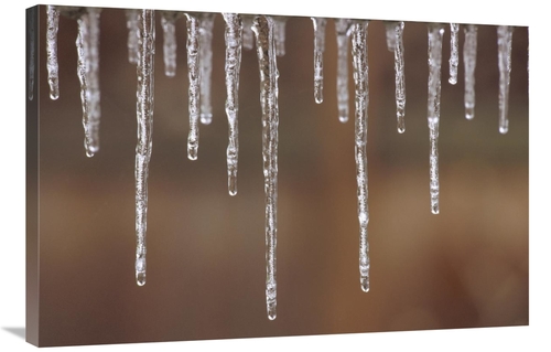 Global Gallery GCS-452846-2436-142 24 x 36 in. Single Strand of Icicle