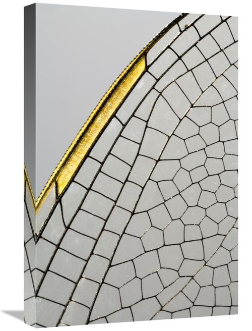 Global Gallery GCS-397976-1624-142 16 x 24 in. Emperor Dragonfly Wing&