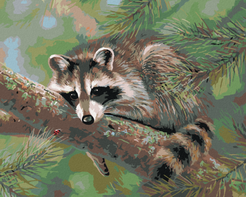 Paint by Numbers - RACCOON LYING ON A BRANCH (ABRAHAM HUNTER)