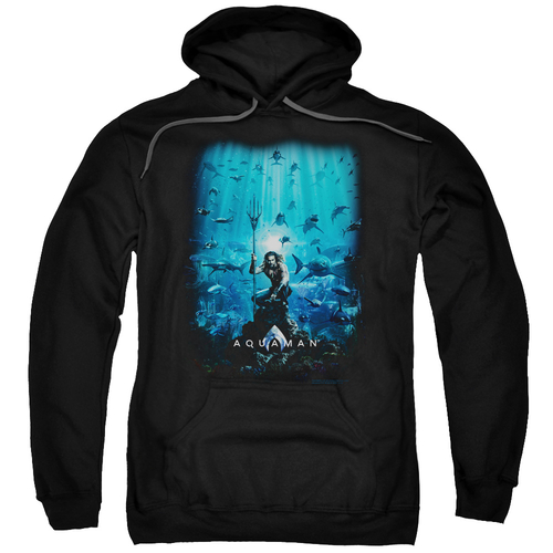 Trevco AQUA148-AFTH-4 Aquaman Movie & Poster Adult Pull-Over Hoodie&#4