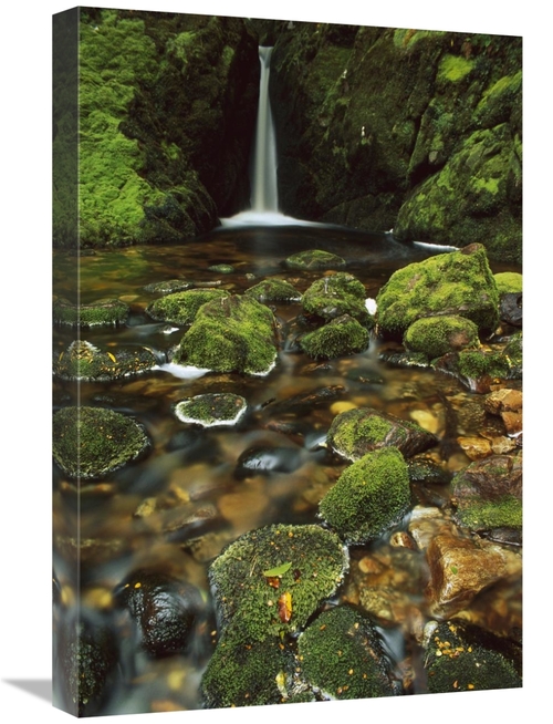 Global Gallery GCS-453505-1624-142 16 x 24 in. Mossy Stream Near Loch 