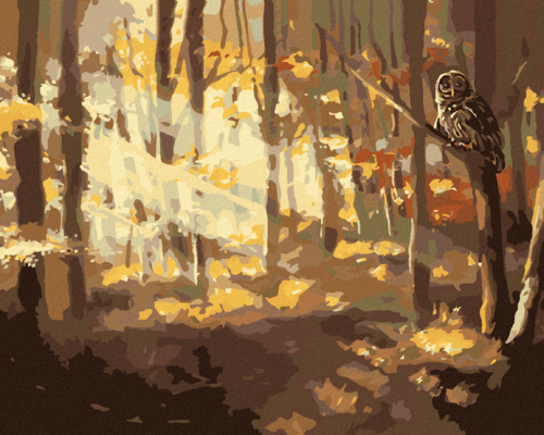 Zuty - Paint by Numbers - OWL AND FOREST IN AUTUMN (D. RUSTY RUST),