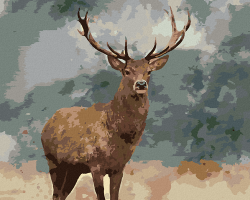 Paint by Numbers - ADULT DEER