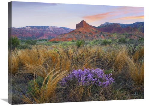 Global Gallery GCS-396004-2432-142 24 x 32 in. Caprock Canyons State P