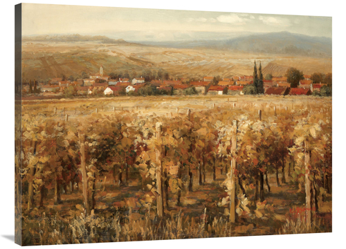 Global Gallery GCS-130709-3040-142 30 x 40 in. Italian Golden VIneyard