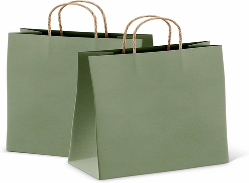 Sage Shopping Bags Bulk Pack of 50 Large Paper Bags 16 x 6 x 12 Kraft