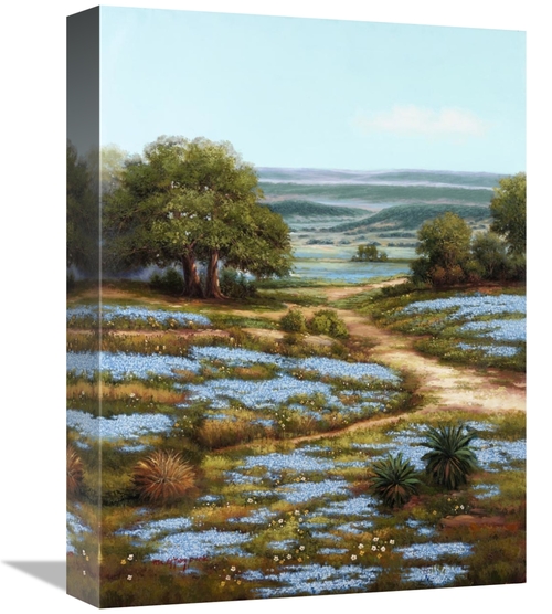 Global Gallery GCS-339644-1216-142 12 x 16 in. Valley of the Bluebells