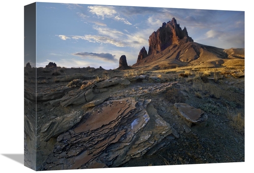 Global Gallery GCS-396526-1216-142 12 x 16 in. Shiprock, the Basal