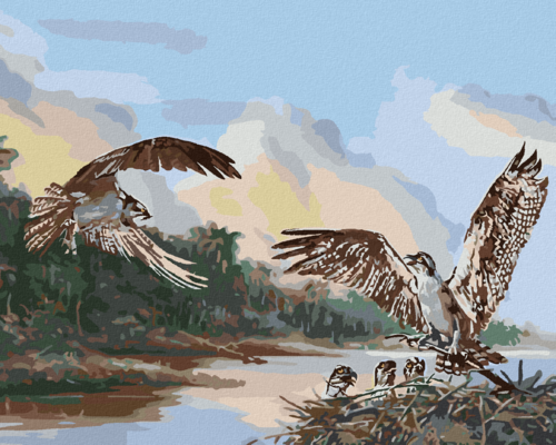 Zuty - Paint by Numbers - EAGLE AND NEST WITH CHICKS (D. RUSTY RUST),