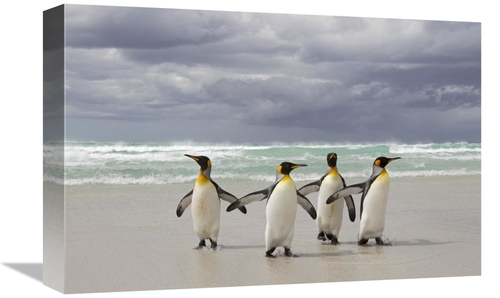 Global Gallery GCS-395358-1218-142 12 x 18 in. King Penguin Group Retu