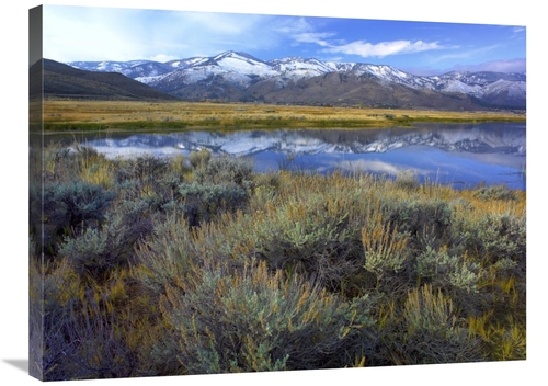 Global Gallery GCS-452090-2432-142 24 x 32 in. The Carson Range Reflec