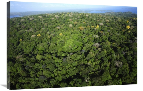 Global Gallery GCS-398546-2436-142 24 x 36 in. Aerial VIew of the Cana
