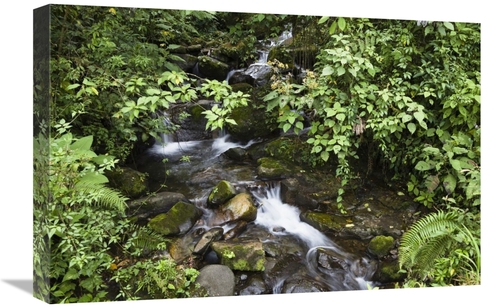Global Gallery GCS-452664-1624-142 16 x 24 in. Creek Flowing Through R