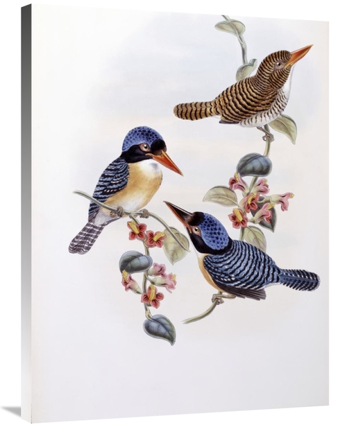 Global Gallery GCS-277739-36-142 36 in. Black Faced Kingfisher Art Pri