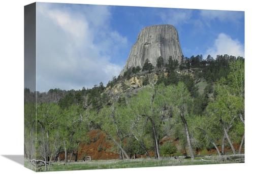 Global Gallery GCS-397168-1216-142 12 x 16 in. Devils Tower National M