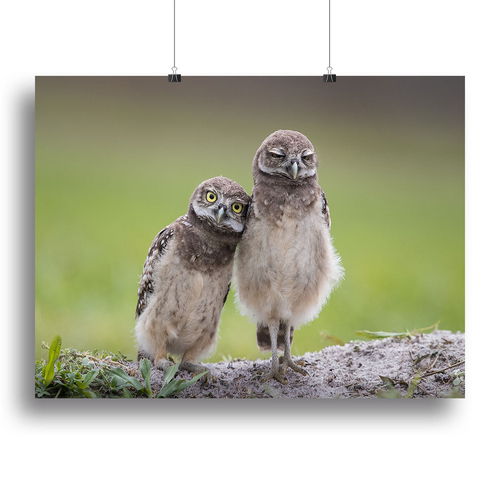 Friends Canvas Print or Poster