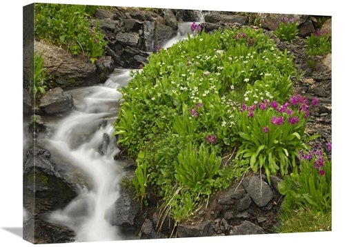 Global Gallery GCS-396112-1824-142 18 x 24 in. Porphyry Creek Near Sil