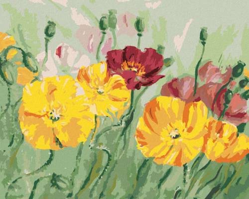 Paint by Numbers - COLOURFUL POPPIES