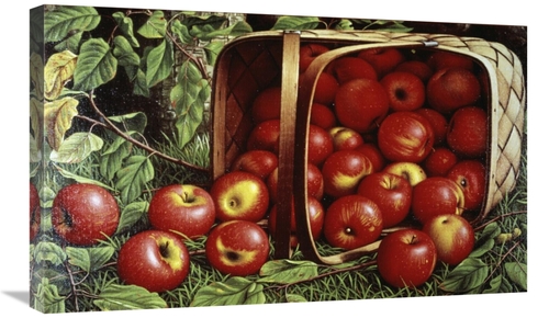 Global Gallery GCS-279490-30-142 30 in. Basket of Apples Art Print - L
