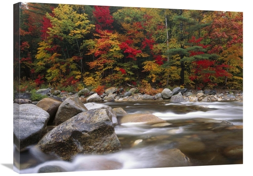Global Gallery GCS-396923-2432-142 24 x 32 in. Wild River in Eastern H
