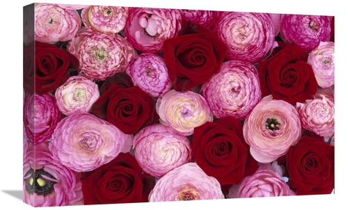 Global Gallery GCS-453613-1624-142 16 x 24 in. Rose Flowers & Buttercu